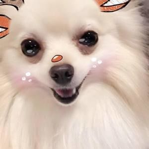 Meet your Posher, Love